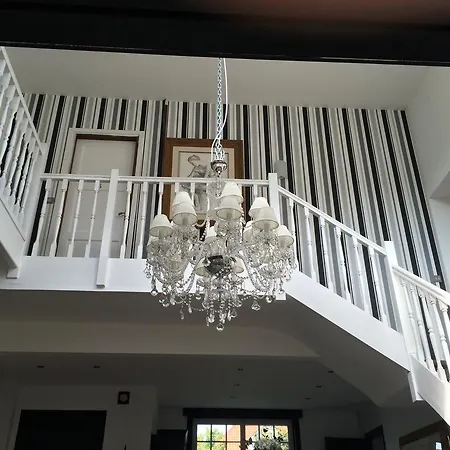 Noir D'ivoire
